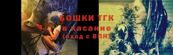 прущие грибы Белоозёрский
