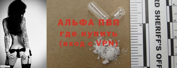 ПСИЛОЦИБИНОВЫЕ ГРИБЫ Белокуриха