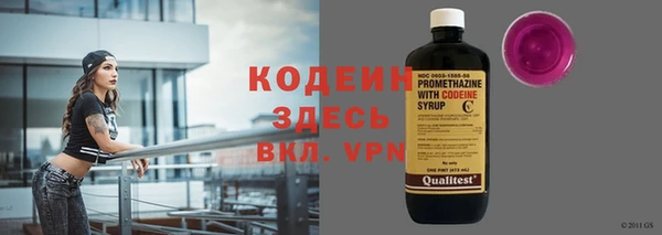 прущие грибы Белоозёрский