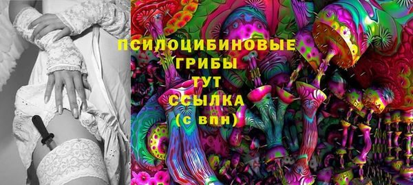 ПСИЛОЦИБИНОВЫЕ ГРИБЫ Белокуриха