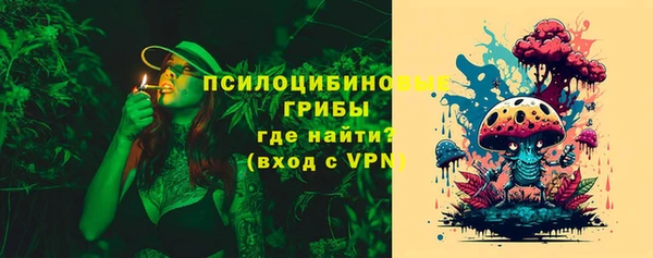 ПСИЛОЦИБИНОВЫЕ ГРИБЫ Белокуриха