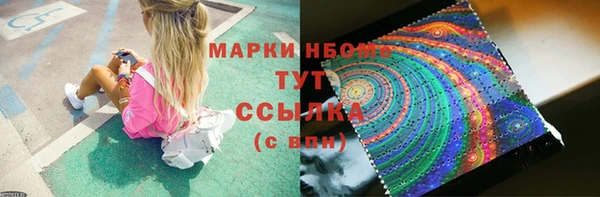 прущие грибы Белоозёрский