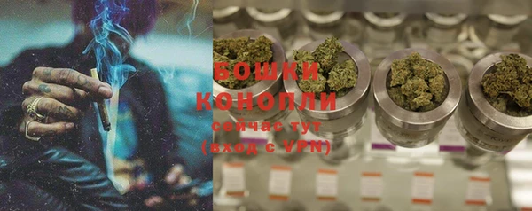 прущие грибы Белоозёрский